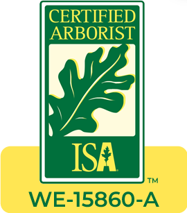 isa certified arborist : we-15860-a