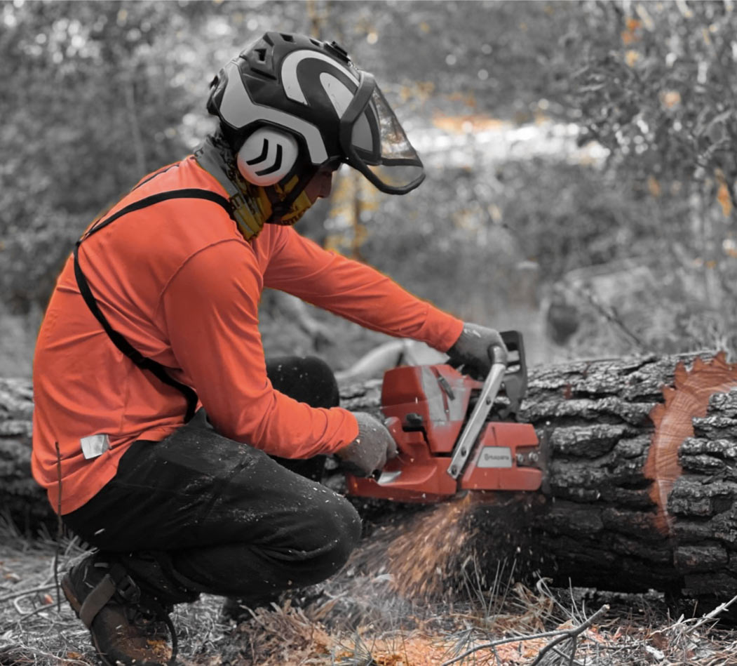 Detailed view of a tree care specialist at work in elk grove ca