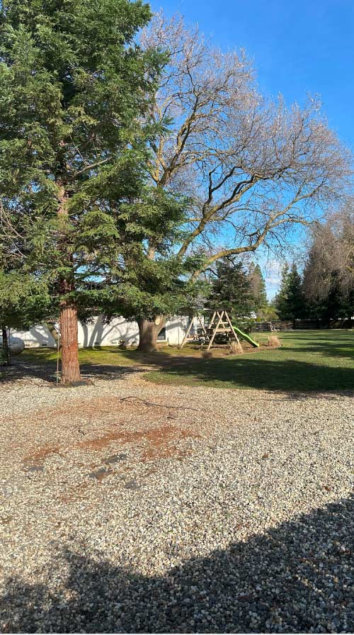 stump-grinding-sacramento quality landscape after a stump grinding service in sacramento ca