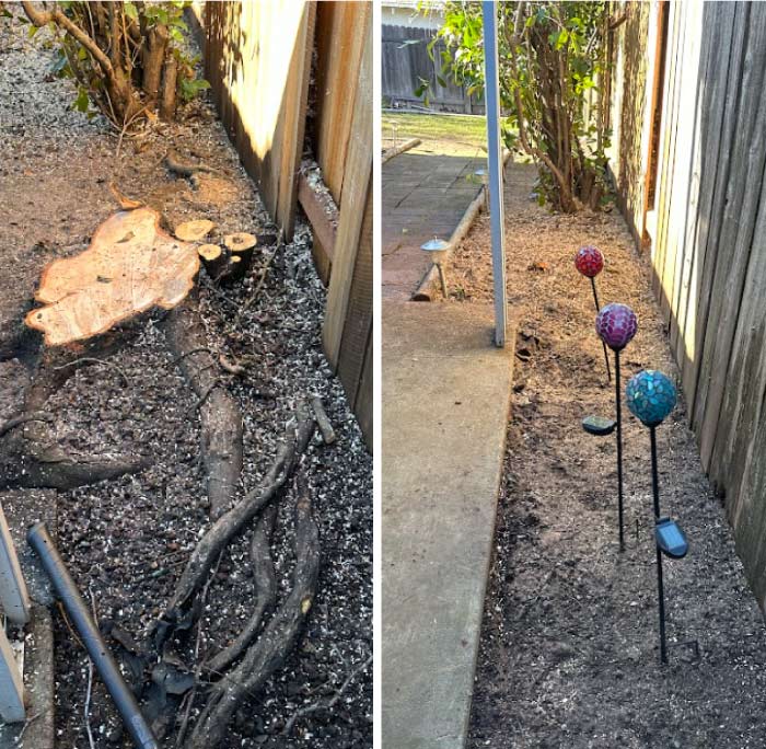 before-and-after-stump-grinding before and after of stump grinding in a yard in sacramento ca