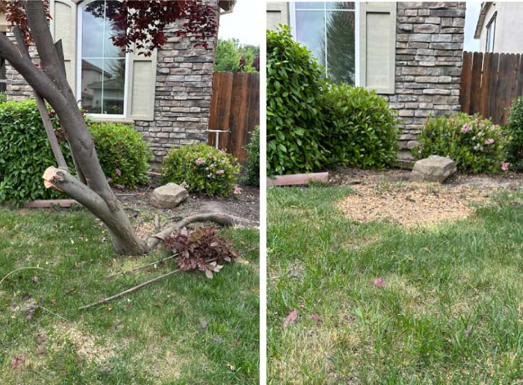 stump-grinding-in-sacramento Safe and efficient tree removal services in Sacramento, CA by certified arborist