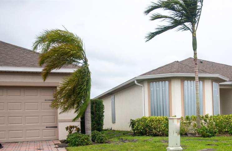 How to Spot a Dangerous Tree: The Homeowner’s 10-Minute Pre-Storm Checklist