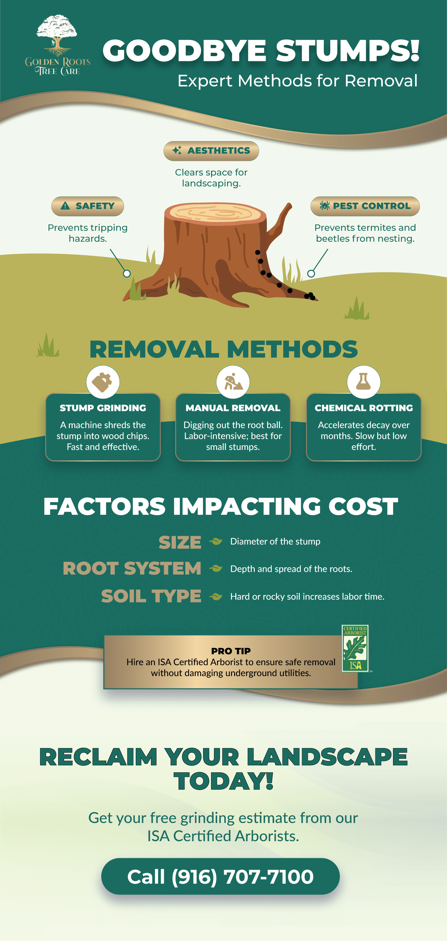 How to Get Rid of Stump of Tree