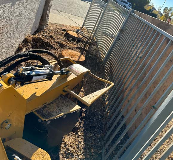 High-performance stump grinding equipment used for professional tree removal in Fair Oaks to clear a residential backyard