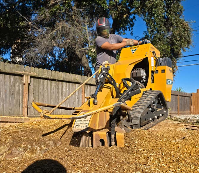 Professional tree removal in Fair Oaks service utilizing heavy-duty machinery for efficient and safe landscape clearing projects.