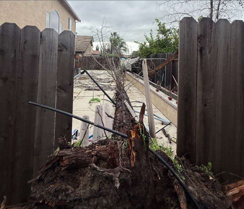 A long tree trunk that has fallen across a residential backyard, breaking through a wooden fence and landing near a concrete patio area.